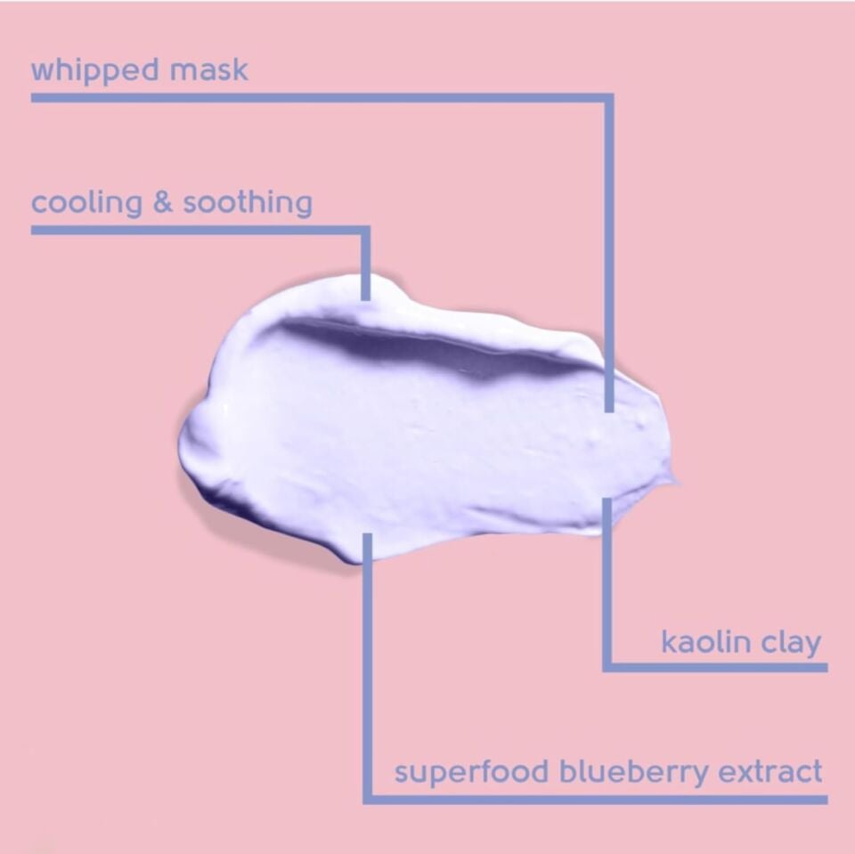 FACE FACTS - Antioxidant Blueberry Clay Mask - 60ml