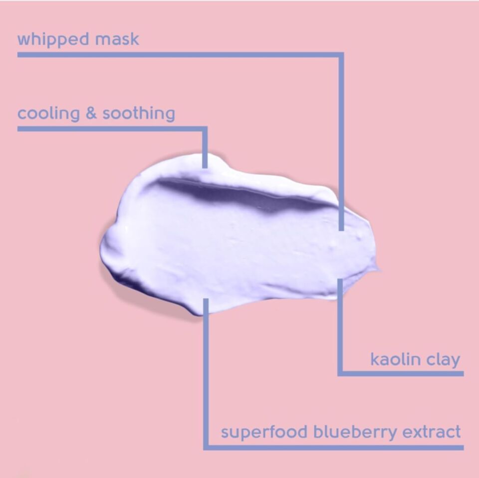 FACE FACTS - Antioxidant Blueberry Clay Mask - 60ml