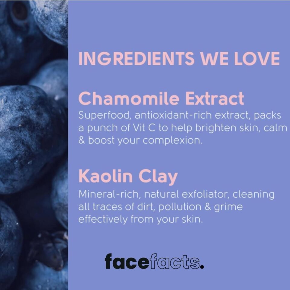 FACE FACTS - Antioxidant Blueberry Clay Mask - 60ml